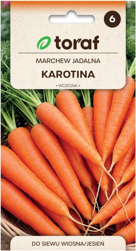 Toraf marchew jadalna Karotina wczesna nasiona 2 sklep rajogrodnika